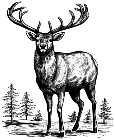 Téléchargez les illustrations : Illustration de style linogravure de rennes en forêt. - en licence libre de droit