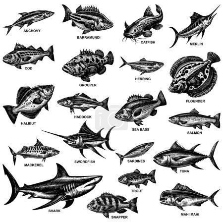 Téléchargez les illustrations : Ensemble d'illustrations de style linogravure mettant en vedette diverses espèces de poissons de mer, isolé sur un fond blanc. - en licence libre de droit
