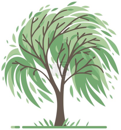 Illustration à dessin plat d'un saule aux feuilles balayées par le vent, isolé sur un fond blanc.