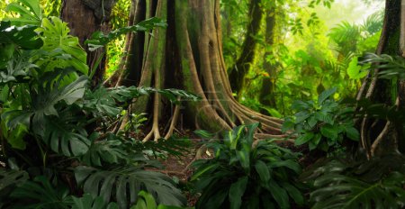 Téléchargez les photos : Tropical rain forest in Costa Rica - en image libre de droit