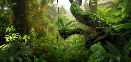 Krajobraz lasów tropikalnych z dużą ilością roślinności