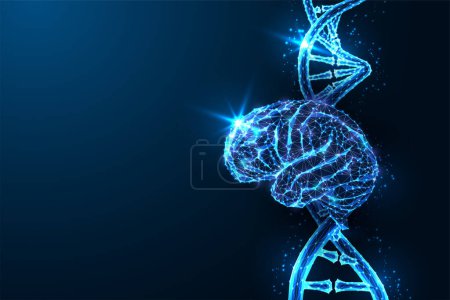 Neurociencia, neurogenética, exploración genética concepto futurista con cerebro y ADN hebra en brillante estilo poligonal bajo sobre fondo azul. Diseño de conexión abstracta moderna vector ilustración.