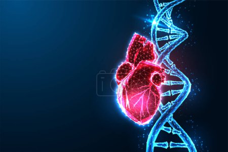 Futuristic medical concept: Anatomical heart intertwining with DNA strand on dark blue backdrop. Glowing low polygonal style. Genetic engineering. Modern abstract connection design vector illustration