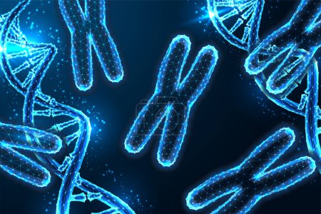 Chromosomes and DNA strands scientific background. Genetic engineering futuristic concept in glowing low polygonal style on dark blue background. Modern abstract connection design vector illustration.