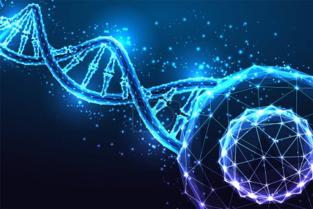 Essence of life and biological research, genetics futuristic concept with DNA strands and human cell in glowing low polygonal style on dark blue background. Modern abstract design vector illustration
