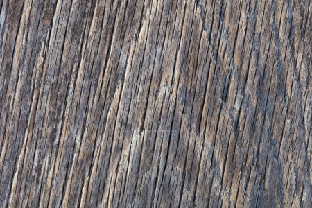 Téléchargez les photos : Vieux, fond de texture en bois séché - en image libre de droit
