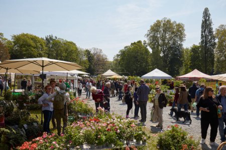 Photo for CARAVINO, ITALY - APRIL 28, 2023: People looking for plants and flowers in spring during Tre Giorni per il Giardino fair at Masino Castle near Turin, Italy. - Royalty Free Image