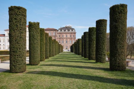 Téléchargez les photos : VENTE VENAIRE, ITALIE - 29 MARS 2023 : Parc du château de Reggia di Venaria avec haies cylindriques, vue symétrique au soleil printanier - en image libre de droit