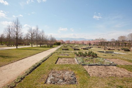 Téléchargez les photos : VENARIE REALE, ITALIE - 29 MARS 2023 : Potager avec parterres dans le parc du château de Reggia di Venaria au printemps ensoleillé - en image libre de droit