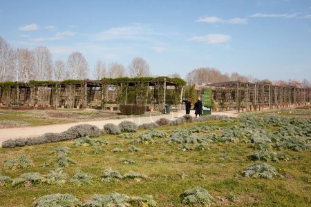 Téléchargez les photos : VENARIE REALE, ITALIE - 29 MARS 2023 : Potager avec parterres dans le parc du château de Reggia di Venaria au printemps ensoleillé - en image libre de droit