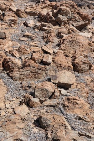 Foto de Suelo volcánico rocoso encontrado a gran altitud en el Parque Nacional del Teide, cubierto de agujas de pino seco del alto Pinus Canariensis, árboles resistentes que habitan las alturas de Tenerife, Islas Canarias, España - Imagen libre de derechos