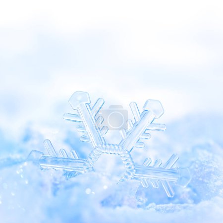 Photo for Delicate snowflake in bright winter snow. - Royalty Free Image