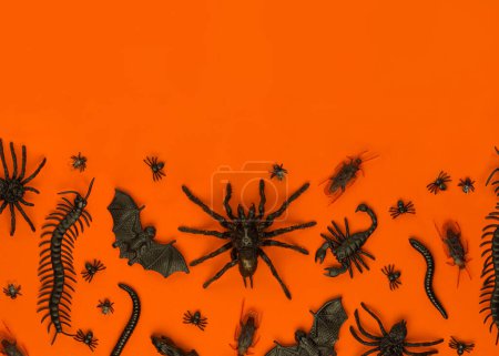 Téléchargez les photos : Bogues et araignées rampantes noires Halloween sur fond orange avec espace vide pour le texte - en image libre de droit