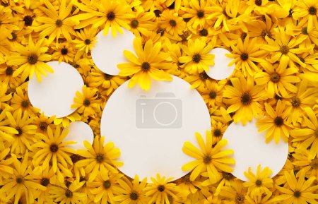 Foto de Pared de flores de color amarillo brillante con tarjetas blancas redondas en blanco para espacio de copia. - Imagen libre de derechos