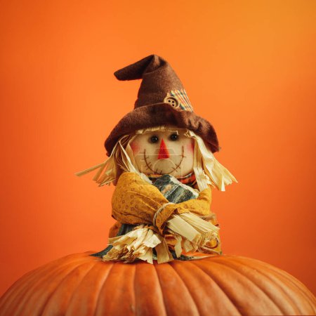 Cute little scarecrow smiling and hugging the stem of a large orange pumpkin. Happy theme for Halloween or Thanksgiving.