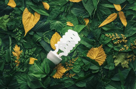 Téléchargez les photos : Feuillage vert vif aux feuilles dorées éclairées par une ampoule écoénergétique. Concept d'idées respectueuses de l'environnement, d'efficacité énergétique ou de pensée écologique. - en image libre de droit
