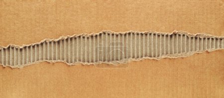 Photo for Brown cardboard box with horizontal torn surface. - Royalty Free Image