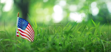 Photo for Small USA flag outside in rural grassland. Patriotic American flag symbolizing the United States of America for 4th of July, Memorial day, Labor day, or other USA celebration. - Royalty Free Image