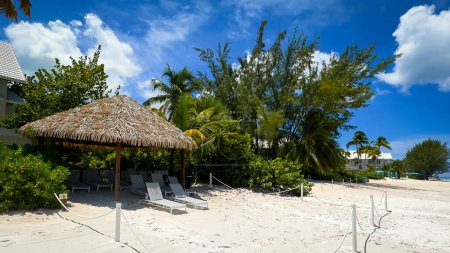 Téléchargez les photos : Grand Cayman, Îles Caïmans, 18 juillet 2023, vue sur une cabane et des chaises longues à Seascape Apartments sur Seven Mile Beach dans les Caraïbes - en image libre de droit