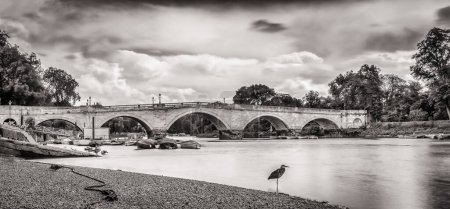 Téléchargez les photos : Pont Richmond traversant la Tamise à marée basse en été, Londres, Royaume-Uni - en image libre de droit