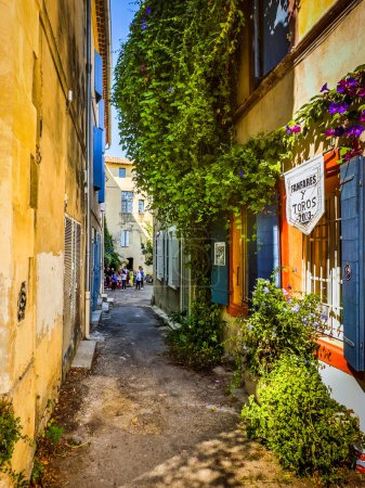 Téléchargez les photos : Arles, France, 9 septembre 2023, vue d'une ruelle avec plante grimpante dans une ville de Camargue - en image libre de droit