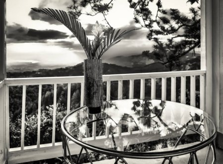 Téléchargez les photos : Gingembre rouge simple dans un vase sur une table en verre face au coucher du soleil sur les Blue Mountains, Jamaïque - en image libre de droit