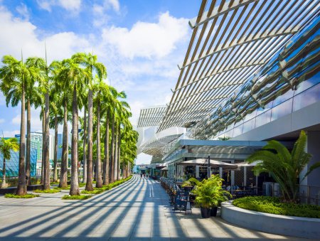 Téléchargez les photos : Singapour, 5 février 2024, vue des rangées de palmiers sur le hall des Shoppes à Marina Bay Sands - en image libre de droit