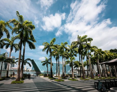 Téléchargez les photos : Singapour, 5 février 2024, vue des rangées de palmiers sur le hall des Shoppes à Marina Bay Sands. - en image libre de droit