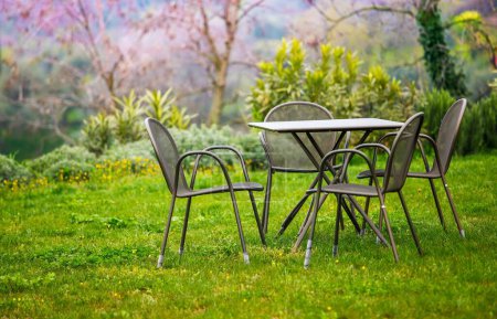 Photo for Garden furniture at green lawn. Picturesque spring landscape design. - Royalty Free Image