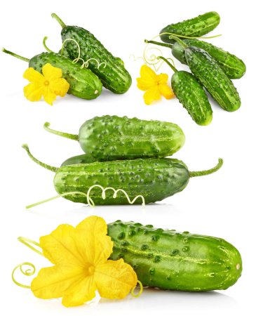 Téléchargez les photos : Collage mélange ensemble de concombres frais avec des fleurs jaunes et vertes - en image libre de droit