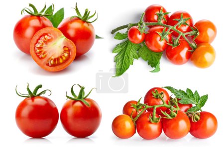 Foto de Collage conjunto de mezcla de tomate en corte con hoja para envasado y laboratorio - Imagen libre de derechos