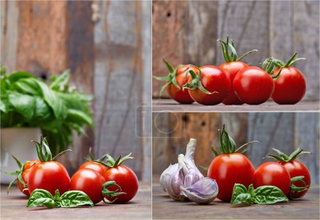Téléchargez les photos : Collage mélange ensemble de tomates fraîches avec du basilic à feuilles à vieux bois - en image libre de droit