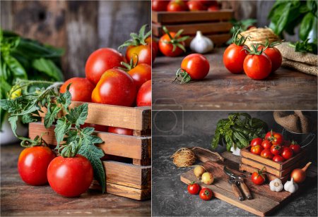 Foto de Collage conjunto de mezcla de tomates de cosecha en caja de madera hierbas especiadas y - Imagen libre de derechos