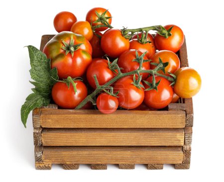 Photo for Harvest tomatoes in wooden box with green leaves. Vegetable stil - Royalty Free Image