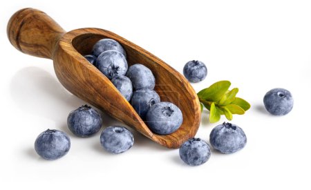 Photo for Berry blueberry in wooden plate with green leaf. Fruity still li - Royalty Free Image