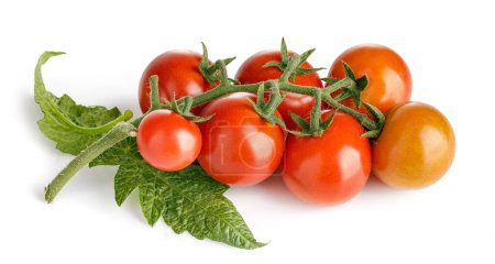 Foto de Tomates frescos con hojas verdes. Almuerzo de verduras de tomate. Vegetales - Imagen libre de derechos