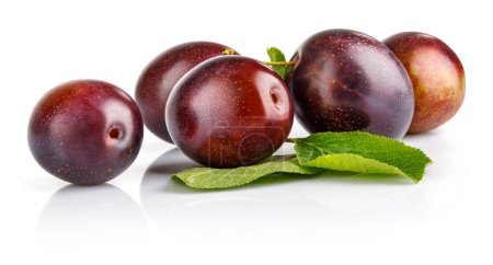 Photo for Fresh plums with green leaves still life of ripe fruits, isolate - Royalty Free Image