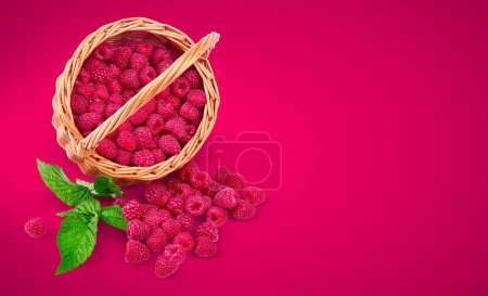 Photo for Fresh Raspberry berries in wicker basket, ripe berry harvest wit - Royalty Free Image