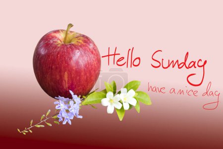 hello sunday have a nice day message card hand writing with red apple on background red 