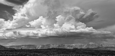 Photo for Landscape in black and white in Arizona - Royalty Free Image