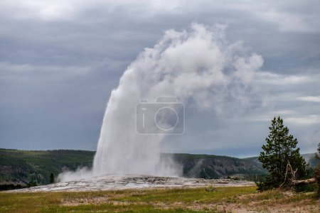 Vieux geyser fidèle à Yellowstone