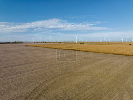 Téléchargez les photos : Éoliennes dans les champs de maïs ruraux, industrie agricole. Vue aérienne - en image libre de droit