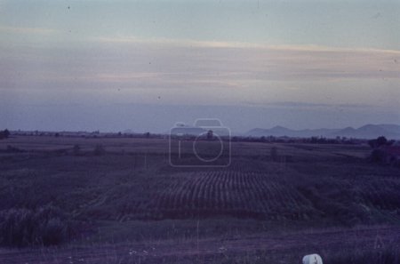 Téléchargez les photos : Rovigo, Italie octobre 1976 : Paysage naturel de la vallée du Pô au coucher du soleil dans les années 70 - en image libre de droit