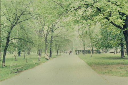 Foto de Viena, Austria Abril 1985: Parque público con senderos y árboles en los años 80 - Imagen libre de derechos