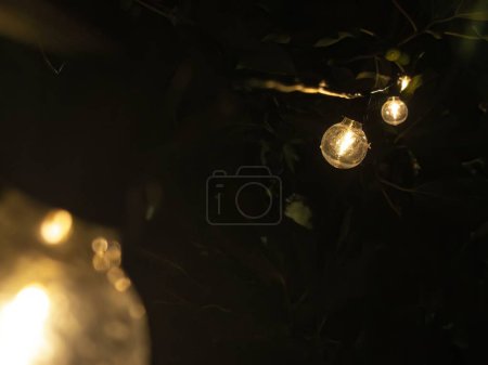 Foto de Cadena de bombillas decorativas que iluminan una fiesta en el jardín, creando un ambiente festivo. - Imagen libre de derechos
