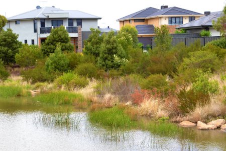 Photo for Pond surrounded by typical Australian plants and charming two-story houses in the background - Royalty Free Image