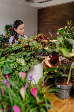 Foto de Vertical atractiva y sonriente joven asiática ocupada mujer de negocios, propietaria de la tienda de flores. Rociar agua y fertilizar hierbas en macetas. - Imagen libre de derechos