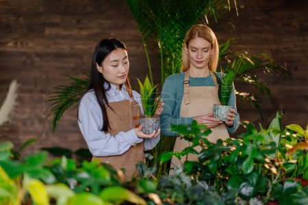 Foto de Floristas femeninas asiáticas y caucásicas dueños de tiendas de plantas que trabajan cuidando las plantas en maceta y haciendo inventario. - Imagen libre de derechos