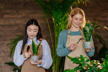 Photo for Focused and skilled, two women employees engage in horticultural tasks, holding gardening tools and tending to potted flowers with precision a testament to their expertise in the realm of horticulture - Royalty Free Image