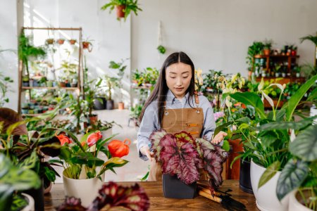 Téléchargez les photos : Concept de petite entreprise en démarrage. Jeune femme asiatique propriétaire debout portant tablier derrière le comptoir prenant soin des plantes en pot à l'intérieur du magasin de plantes de fleurs. - en image libre de droit
